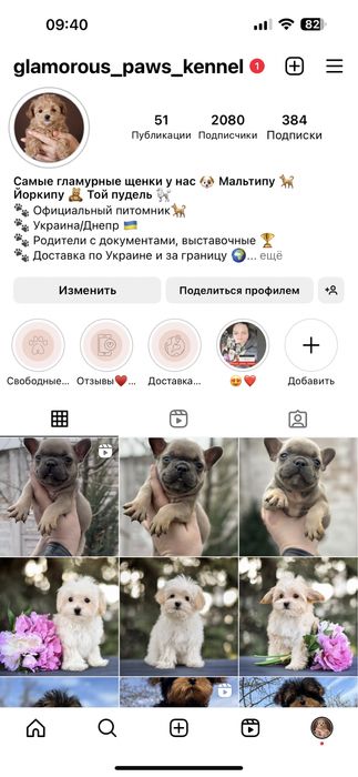 Дуже дивовижний хлопчік мальтіпу ф1