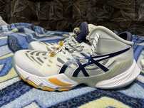 Волейбольні кросівки Asics Metarise