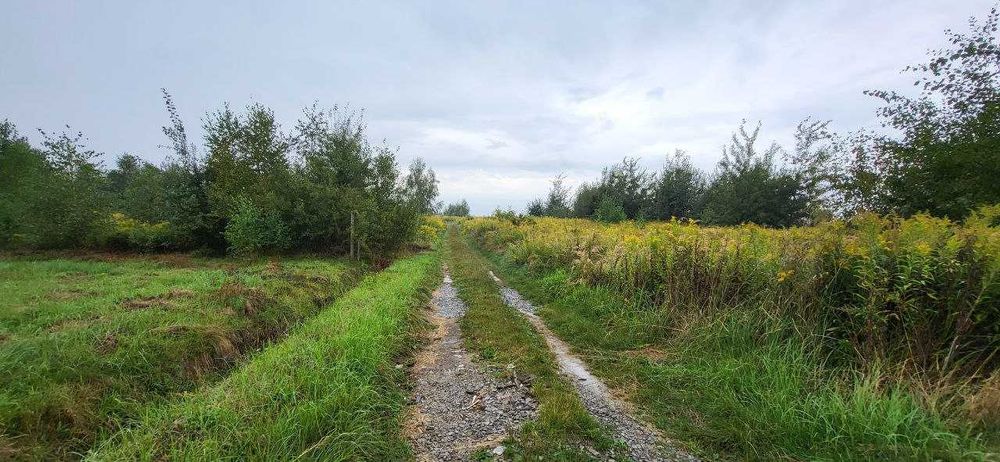 Продаж земельної ділянки в Суховолі (10 соток під будівництво)