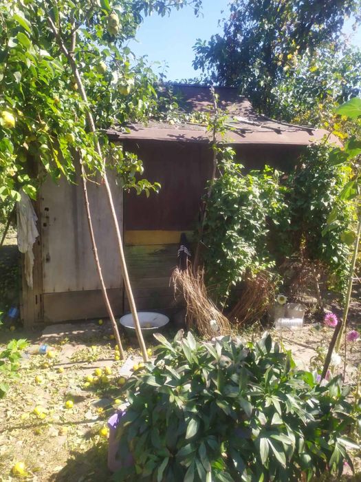 Дачний участок в садовому кооп . «Моторобудівник »