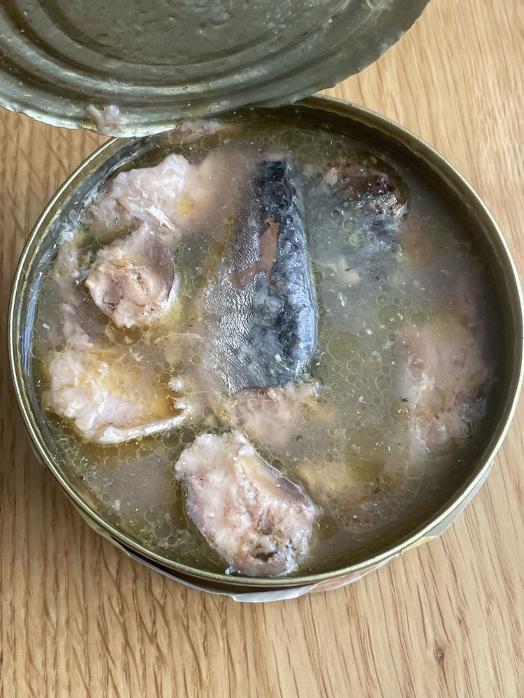 Скумбрія Атлантична