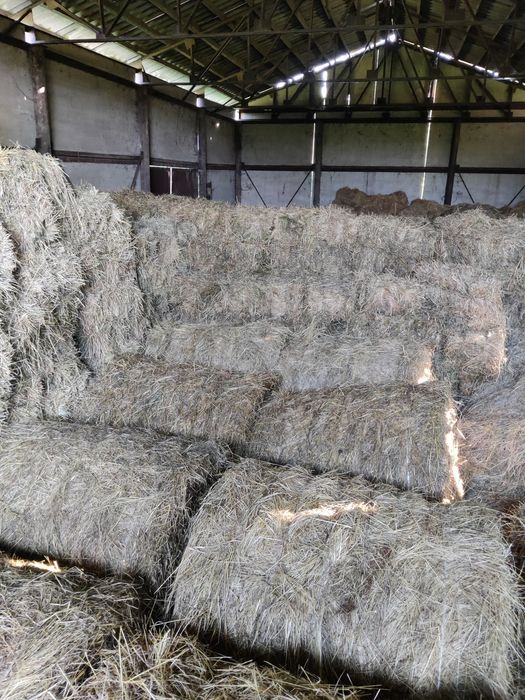 Сіно солома тюки