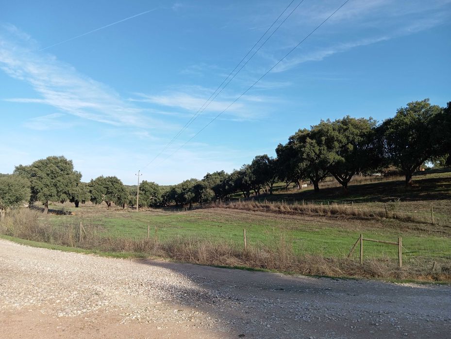 Terreno a 10 km de Estremoz