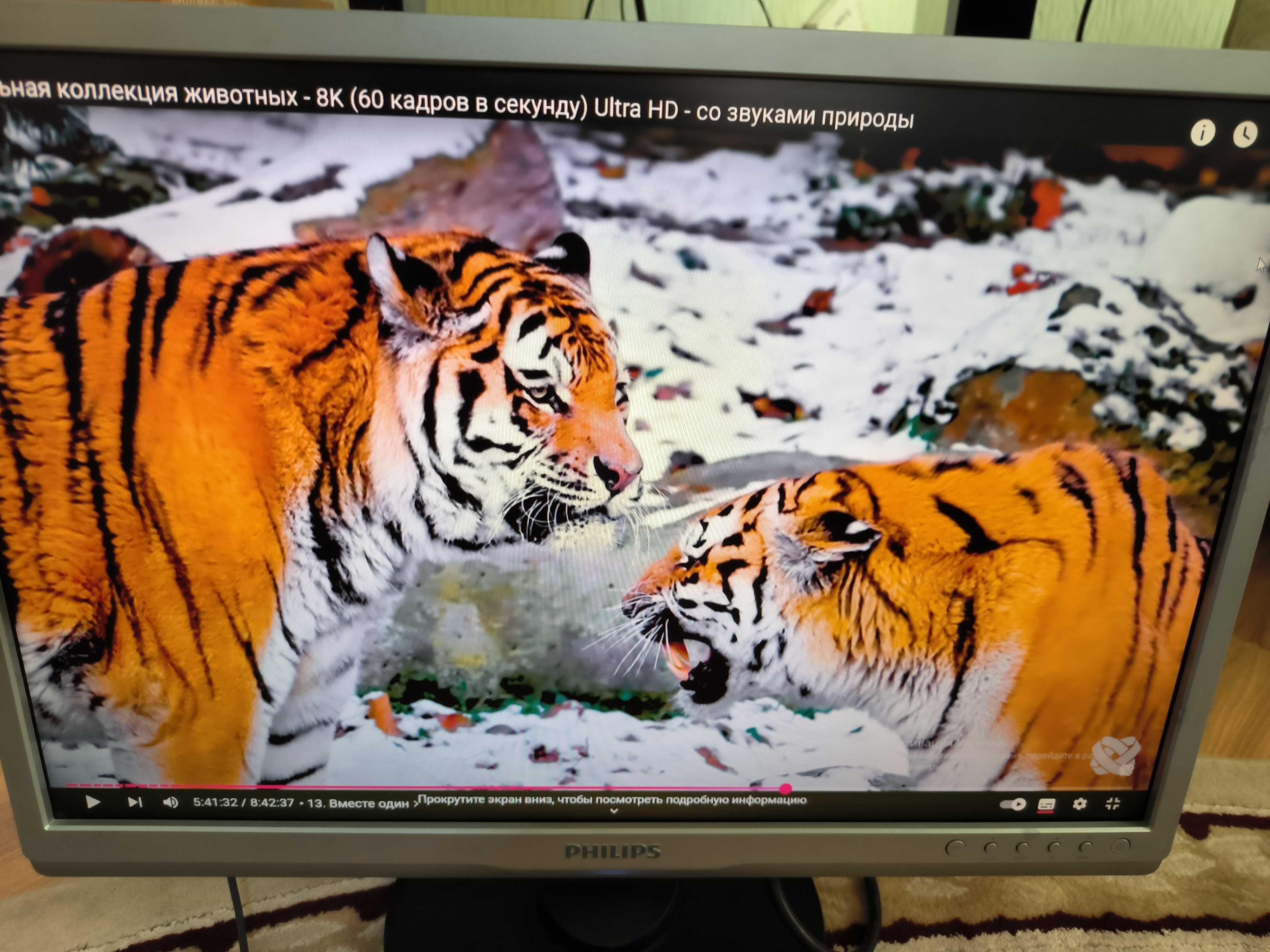 Монитор PHILIPS Brilliance 22 vga dvi