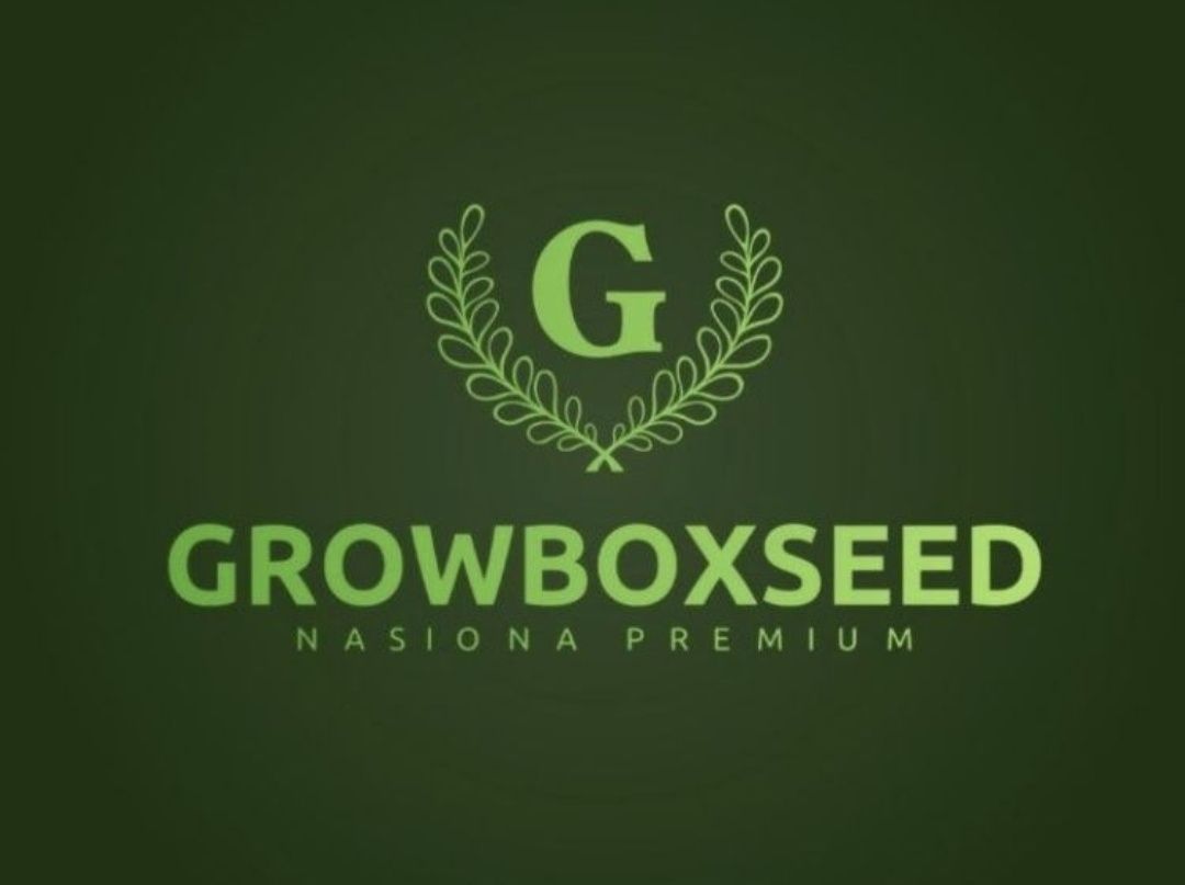 60 dni‼️10sztuk Auto Lemon Nasiona Marihuany THC growbox indica sativa