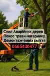 Спил Аварійних дерев Покос трави