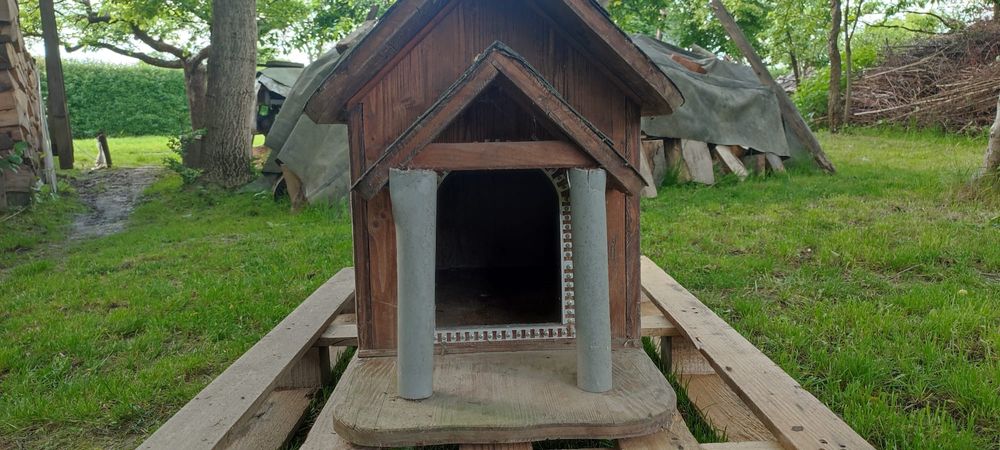 Buda dla średniego psa