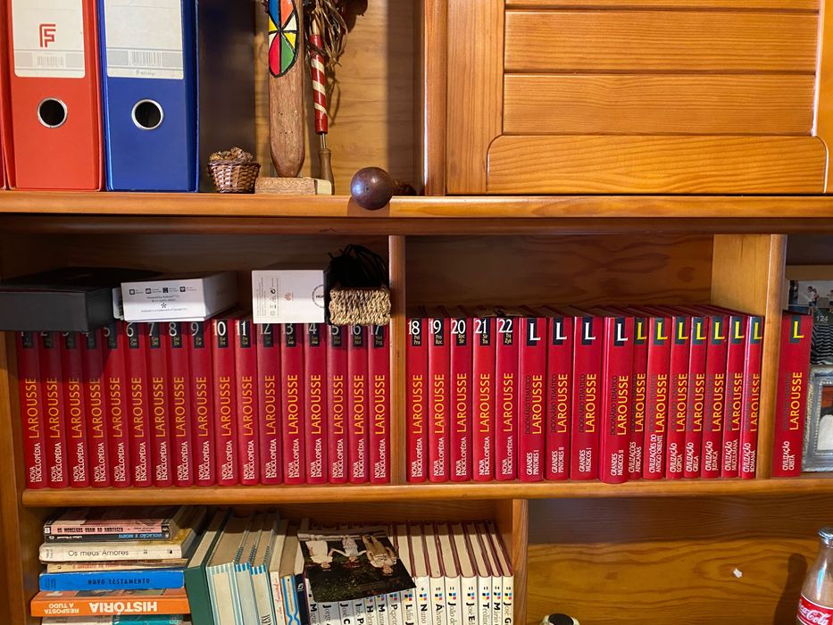 Nova enciclopédia larousse 22 volumes + 11  dicionário temático