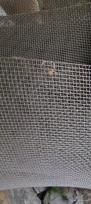 Сітка нержавіюча 3х3мм 17кв.м довжина 2м.