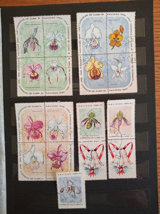 Klaser ze znaczkami fauna i flora