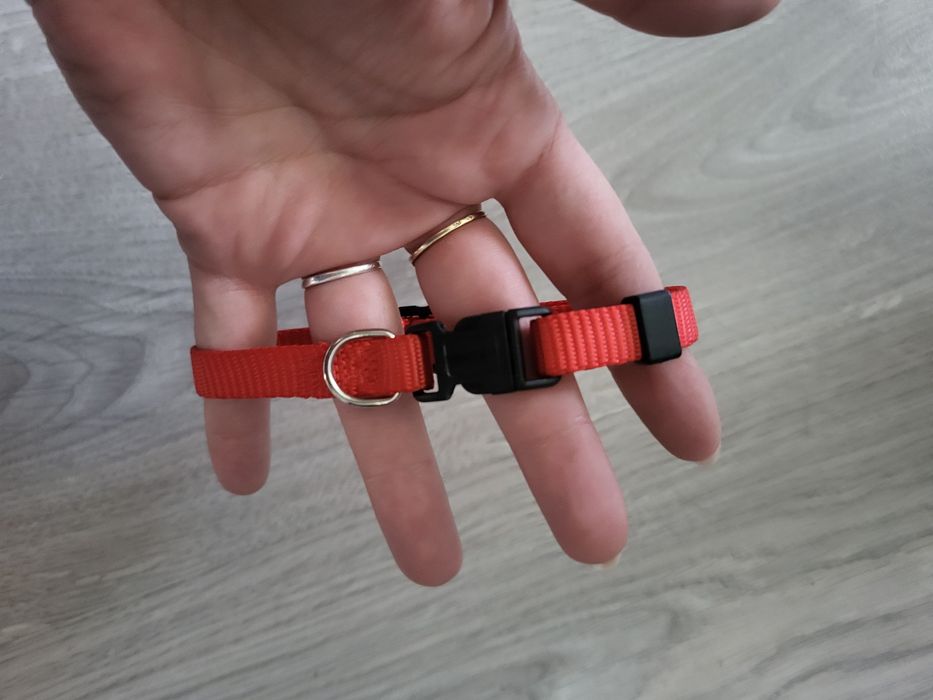 Smycz i dwie obroże rozmiar xs