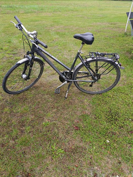 Rower Pegasus  solero stan bdb