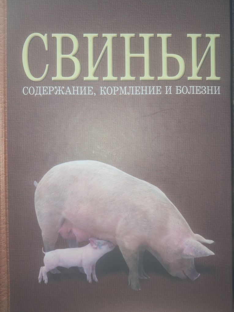 Свиньи. Содержание, кормление кузнецов 2007
Автор: Кузнецов