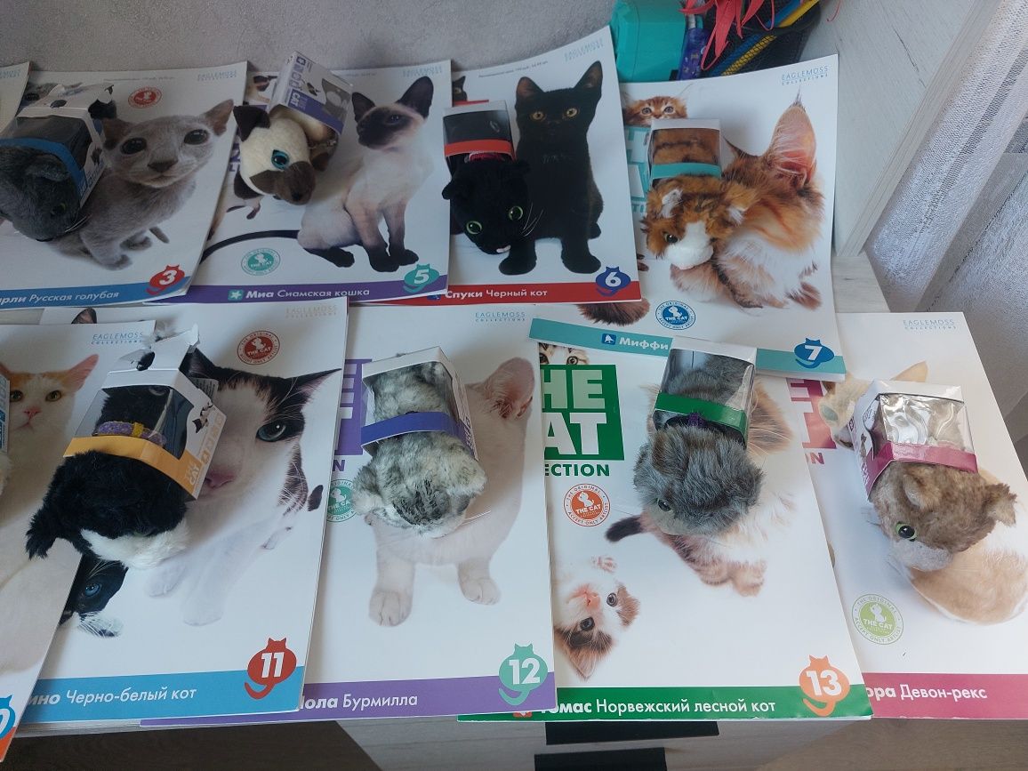 The cat collection