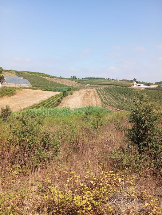 Terreno agrícola