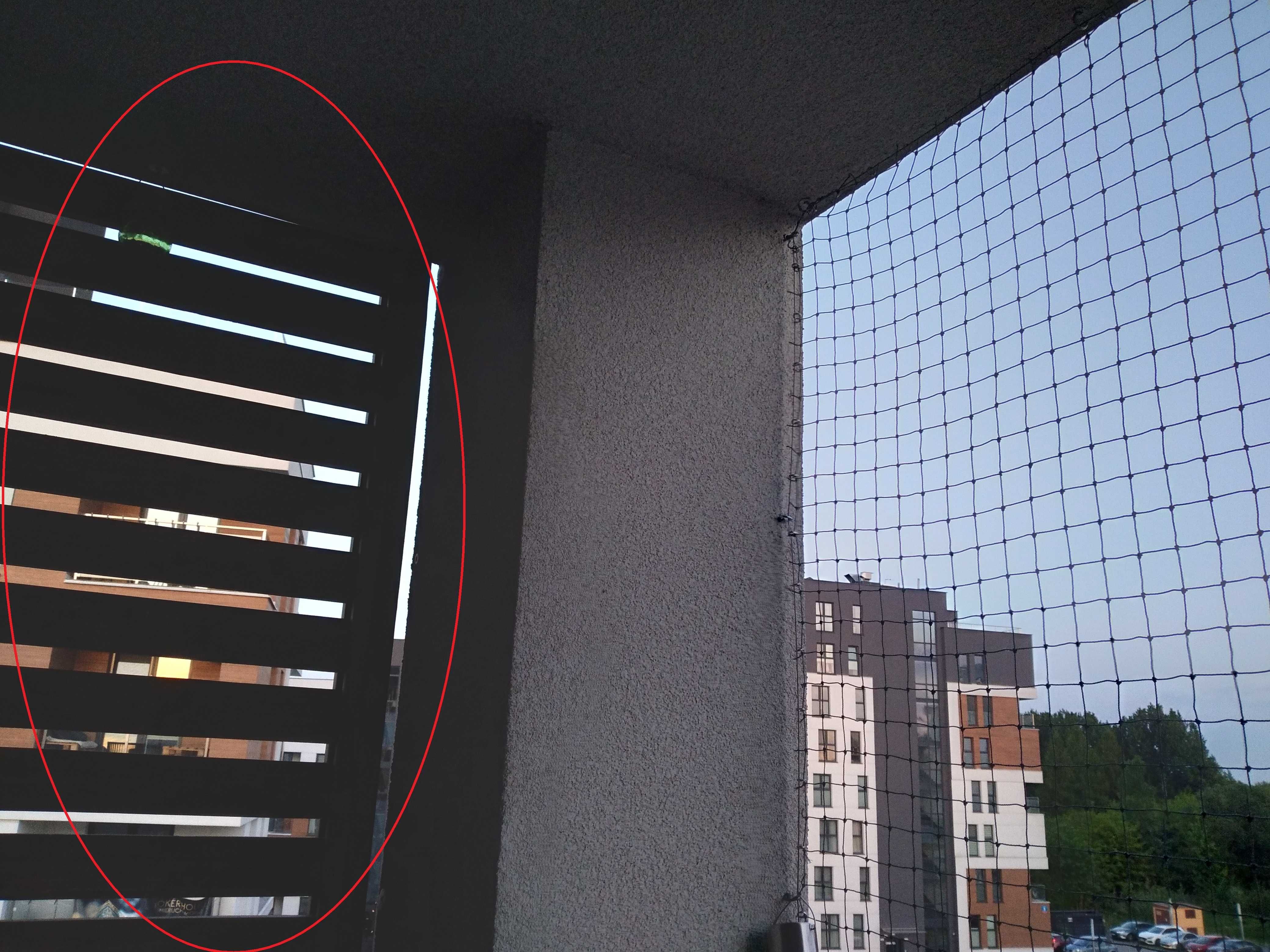 Siatka wzmacniana zabezpieczająca na balkon oczko 30mm . Koty , ptaki