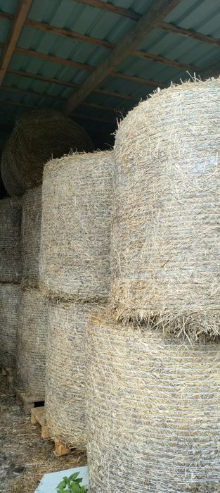 Sprzedam słomę z sezonu 2025