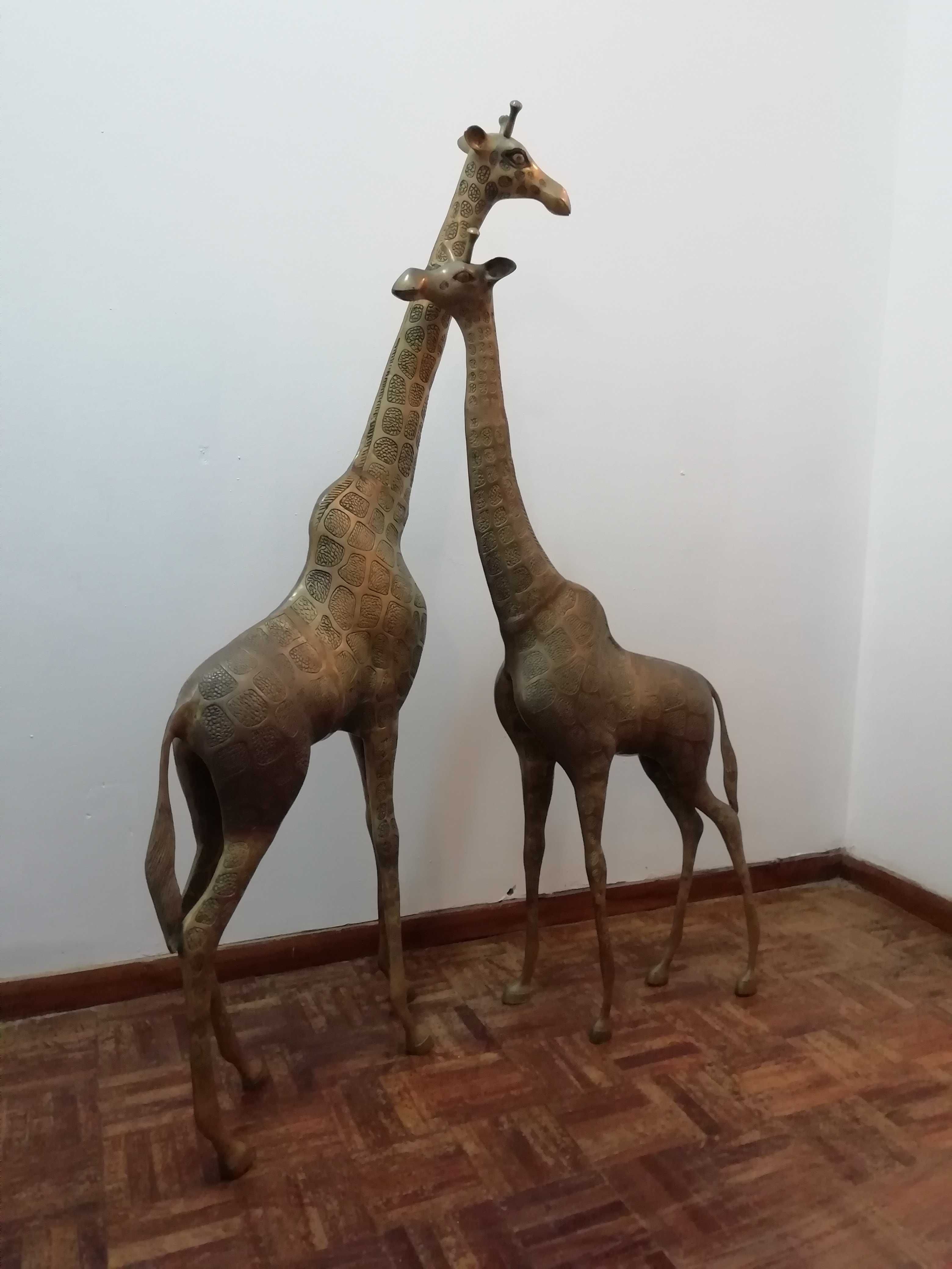 Par de Girafas em latão - Grande dimensão