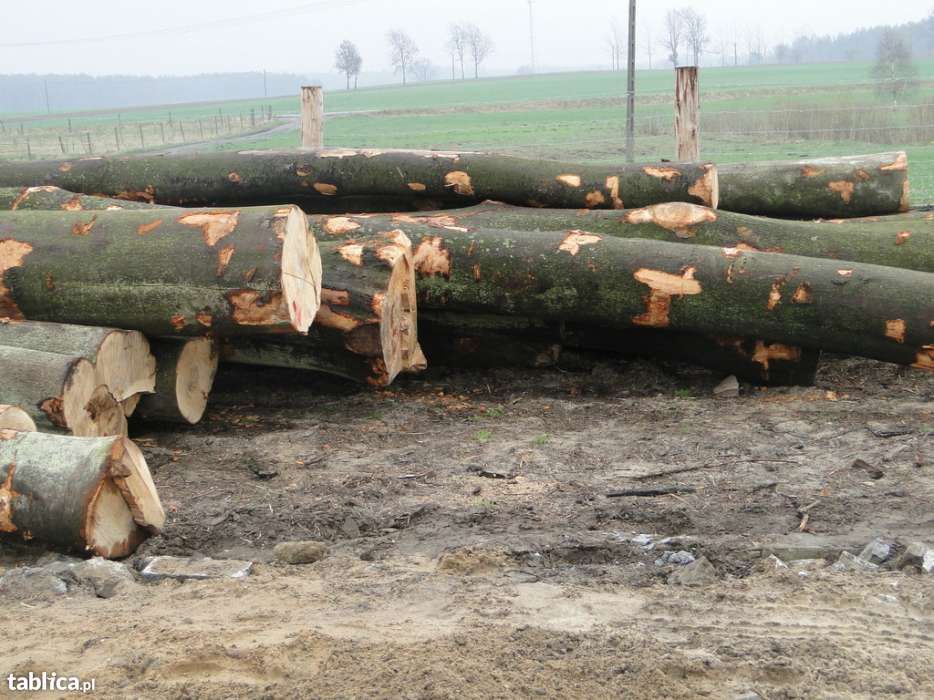 Promocja !!! Drewno sezonowane kominkowe i opałowe. Buk Dąb Brzoza G