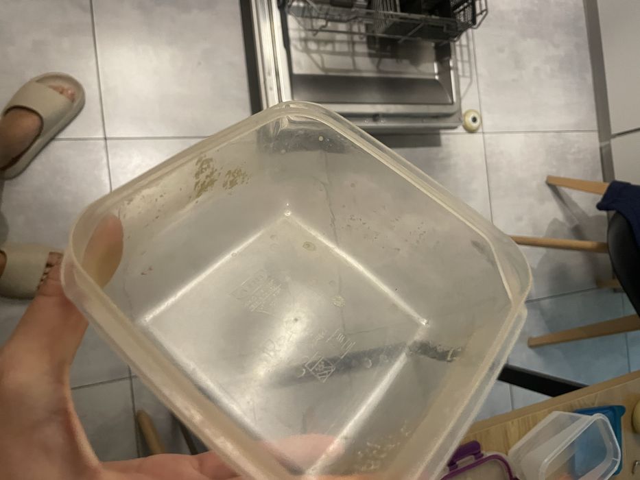 Plastikowy lunchbox maly