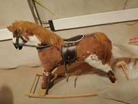 Konik na biegunach