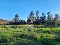 Terreno Para Construção, Cristelos, Boim e Ordem, Lousada