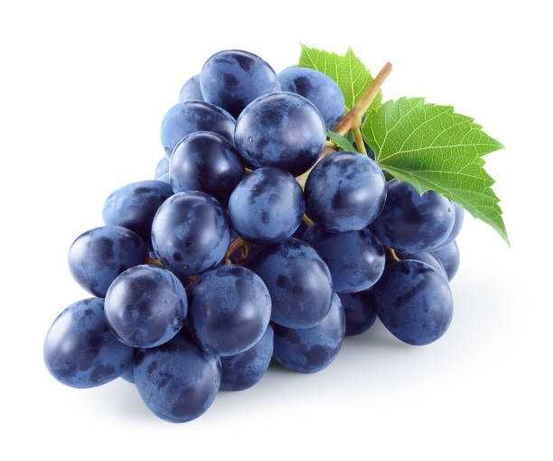 Продам різочки , черенки винограду