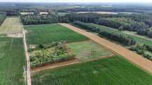 Działka Chraboły 4200m2