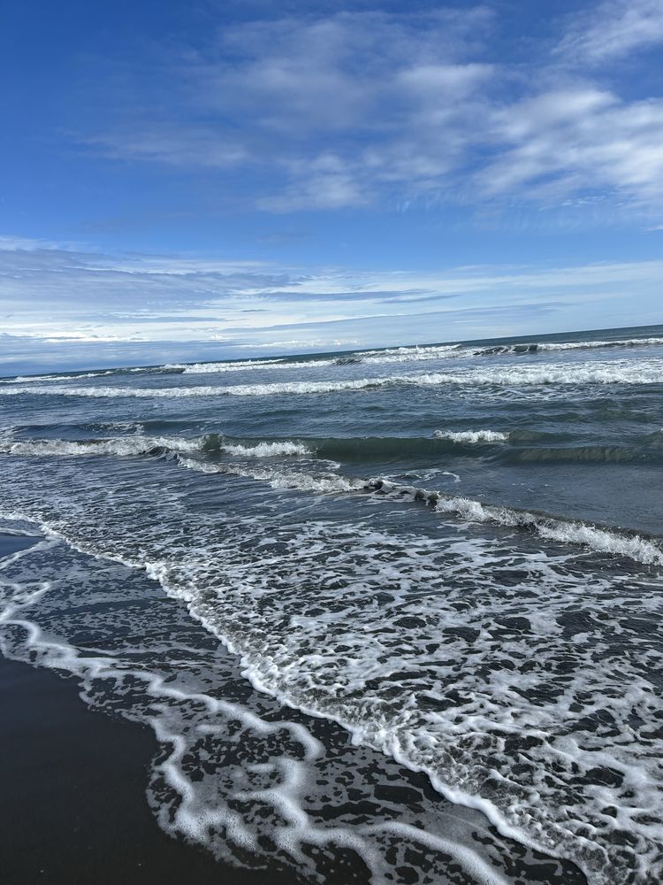 Продаж квартир від забудовника на березі Адріатичного моря Чорногорія