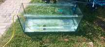 Sprzedam akwarium 240l
