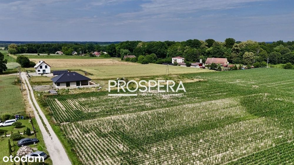 Działka rolna z możliwością zabudowy!