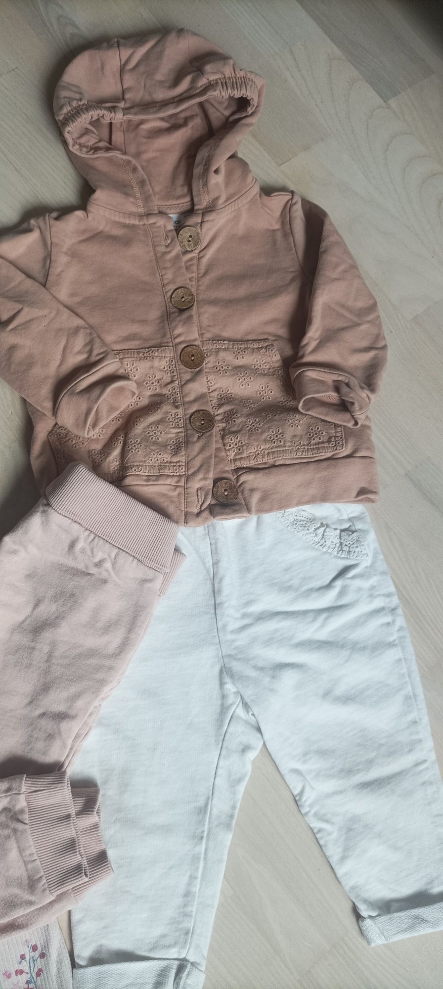 Bluzy 80 cocodrillo
