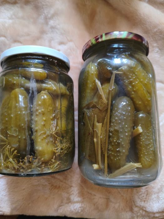 Ogórki kiszone tegoroczne