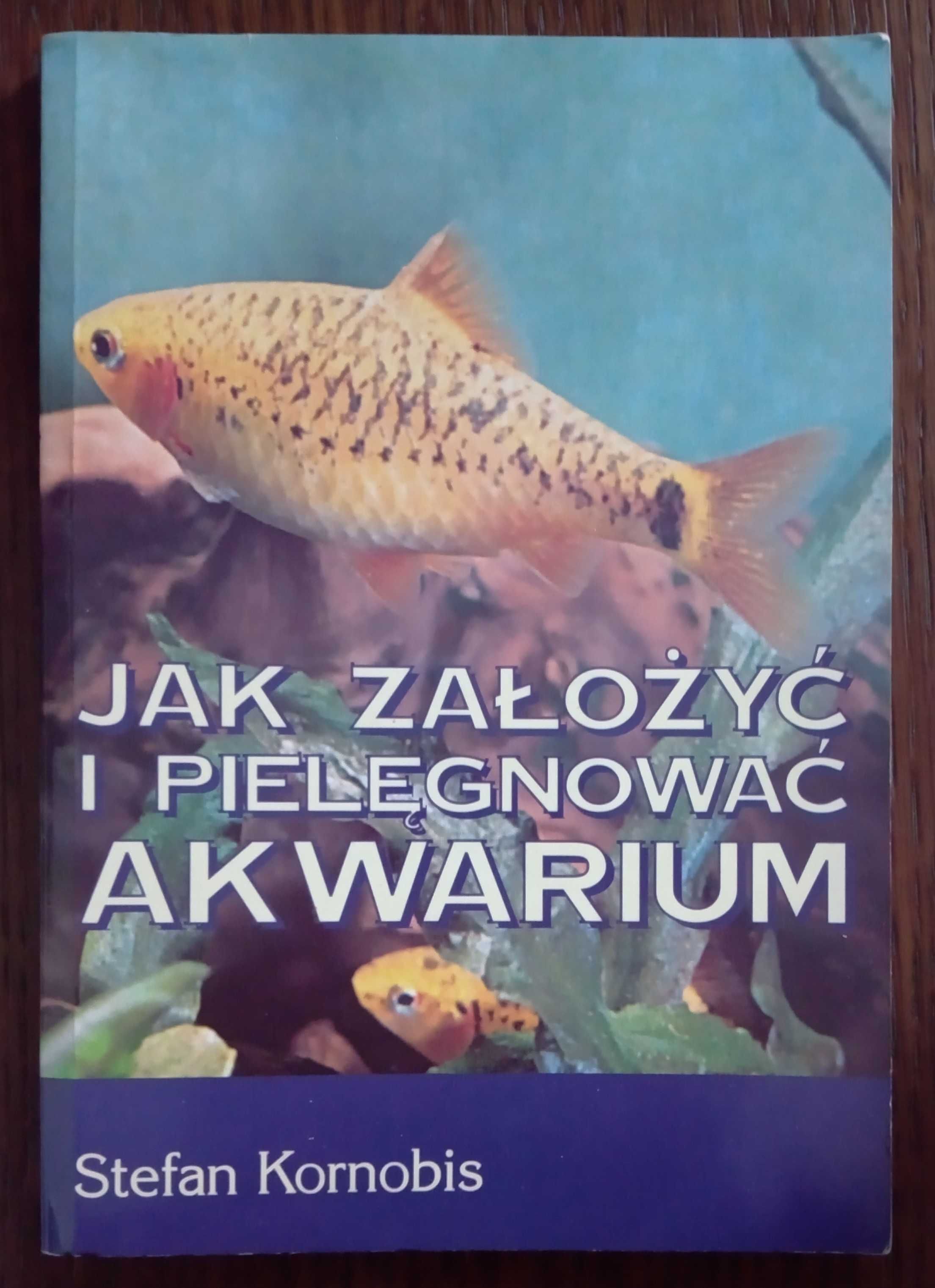 Jak założyć i pielęgnować akwarium - Stefan Kornobis