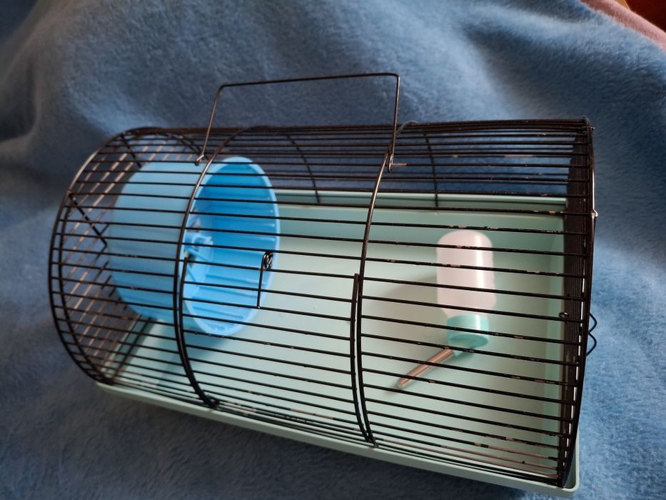 Хом'ячок джунгарик з кліткою. Клітка для хом'яка