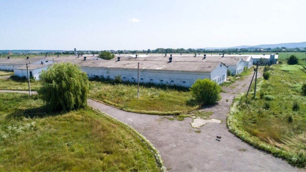 Птахофабрика - комплекс з вирощування та забою курей на 350000 голів