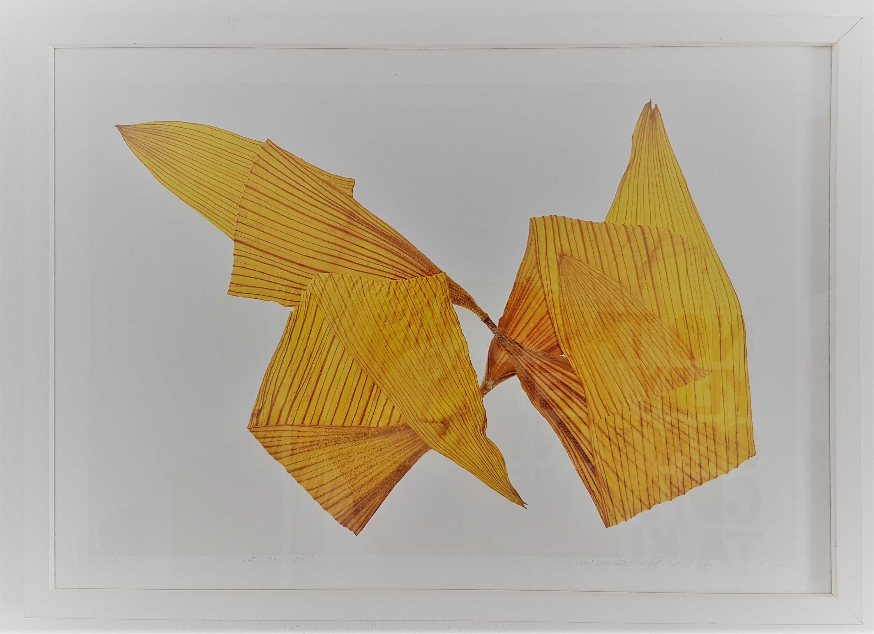 Grafika - obraz - Mathilde Papapietro z cyklu "Żółcienie"  62-44,5 cm
