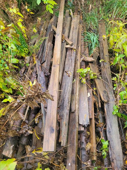 Drewno gałezie deski