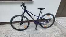 Trek dual sport 2