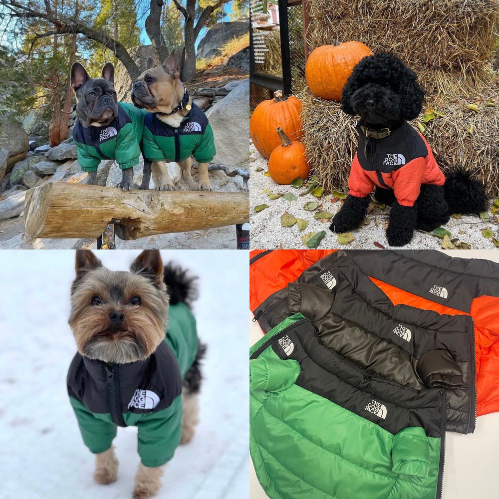 Одежда доя собак, куртка для собак, аксесуари для собак
