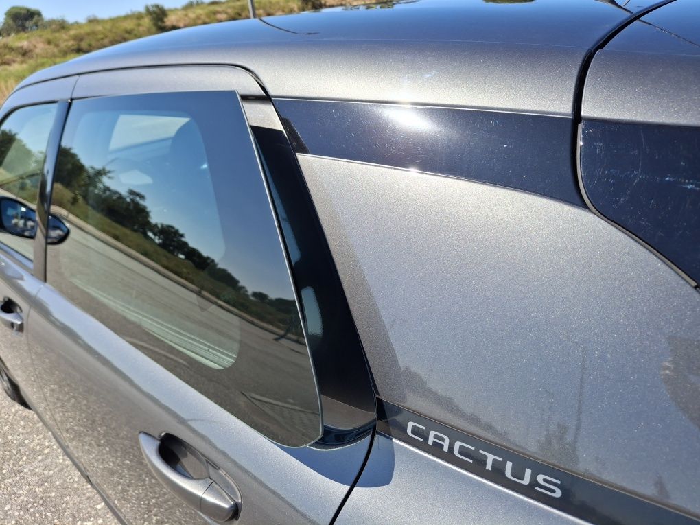 Citroën C4 Cactus 2020