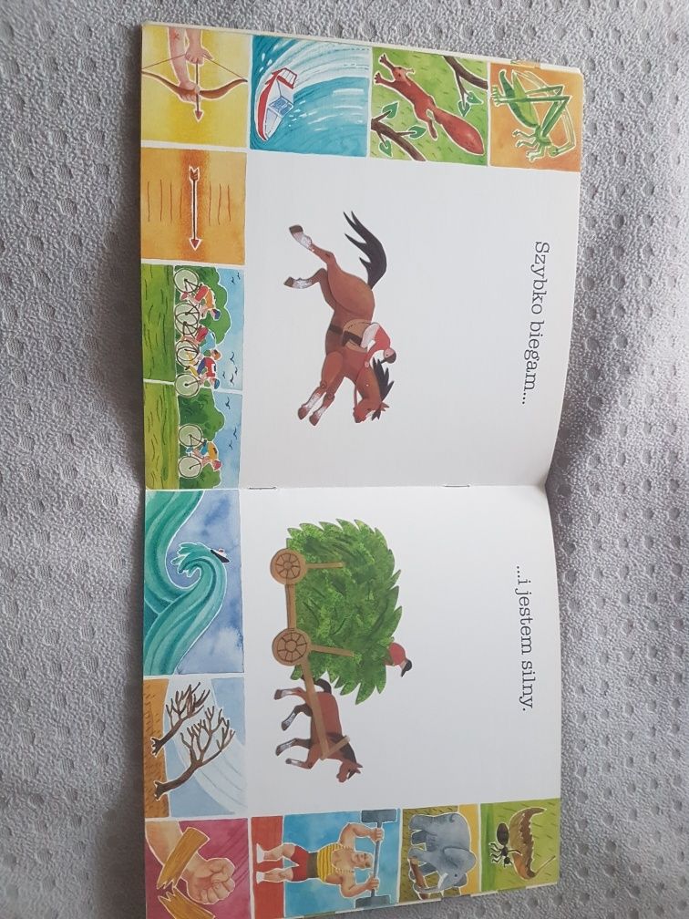 Jaki jestem? Koń Klaudiusz - książka o koniach