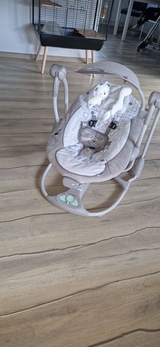 Bujaczek elektryczny Ingenuity