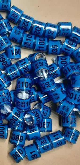 Obraczki na gołębie pocztowe 26r  ,  PL i BE,DV,NL  staropolskie, raso