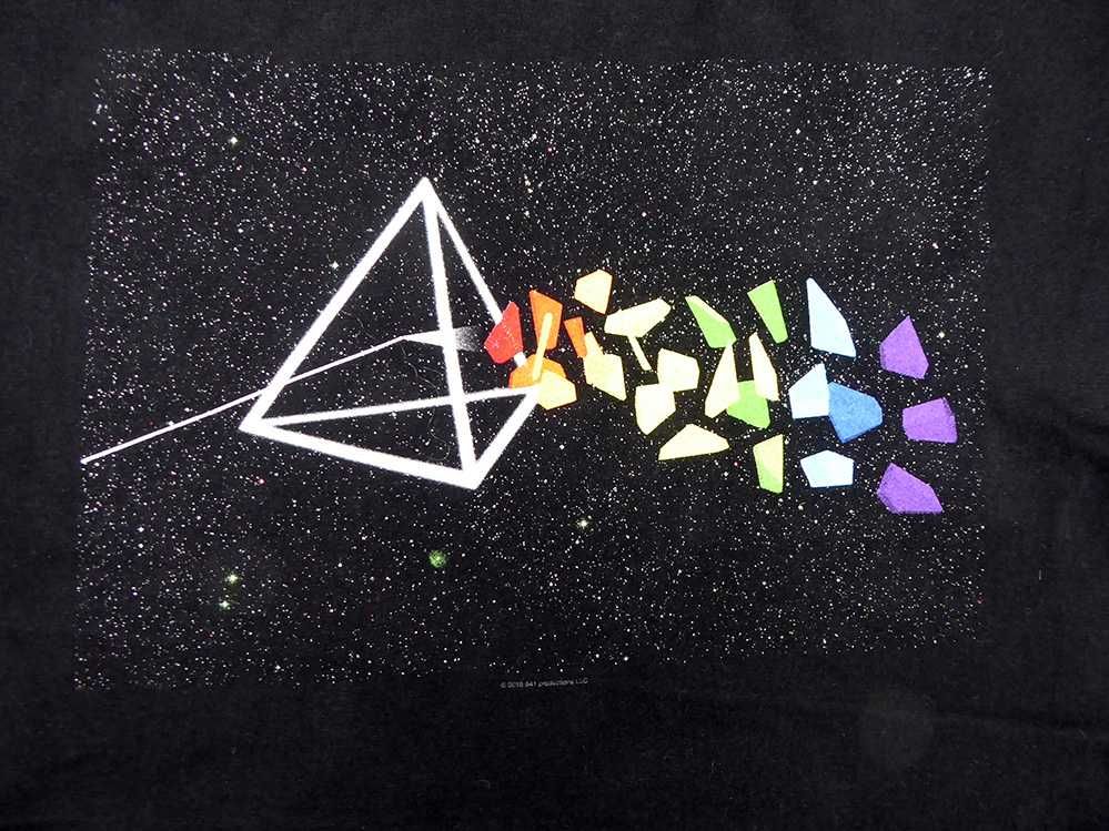 Roger Waters The Dark Side of The Moon oryginalny T-shirt koszulka