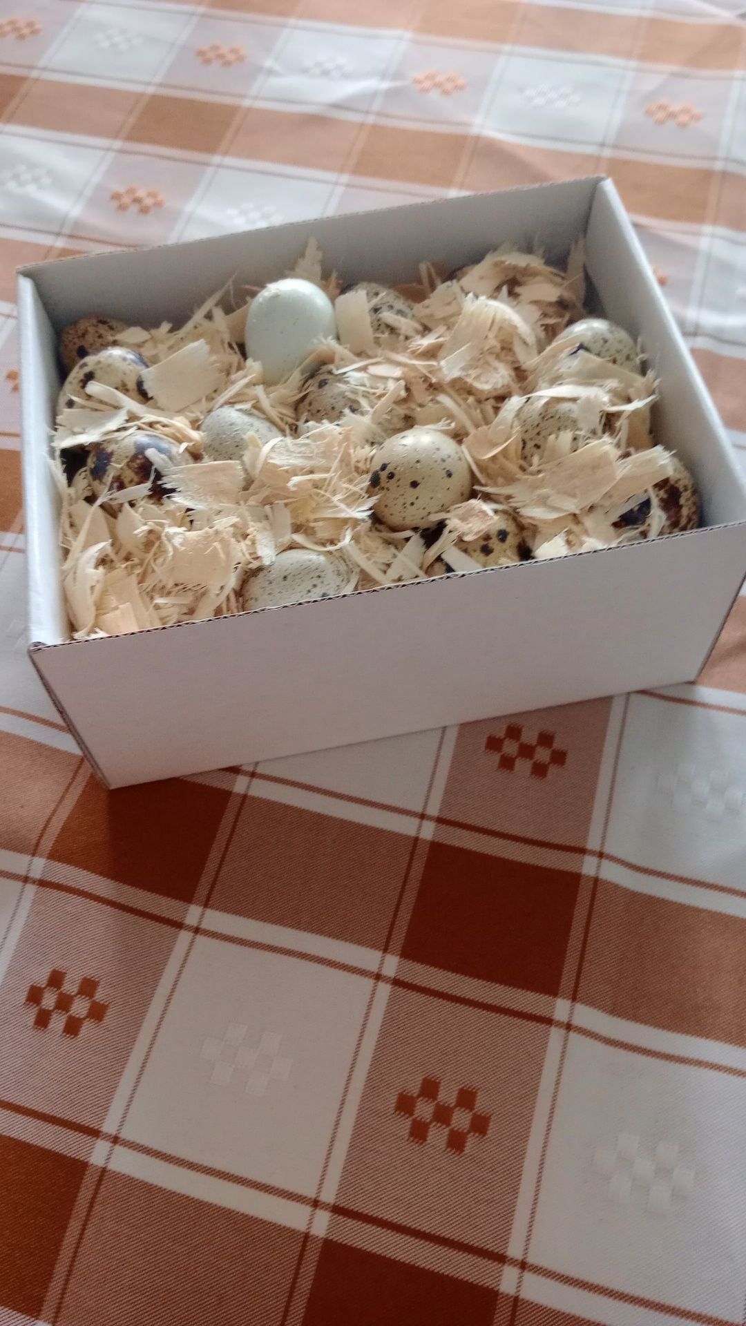 Ovos codorniz e codornizes