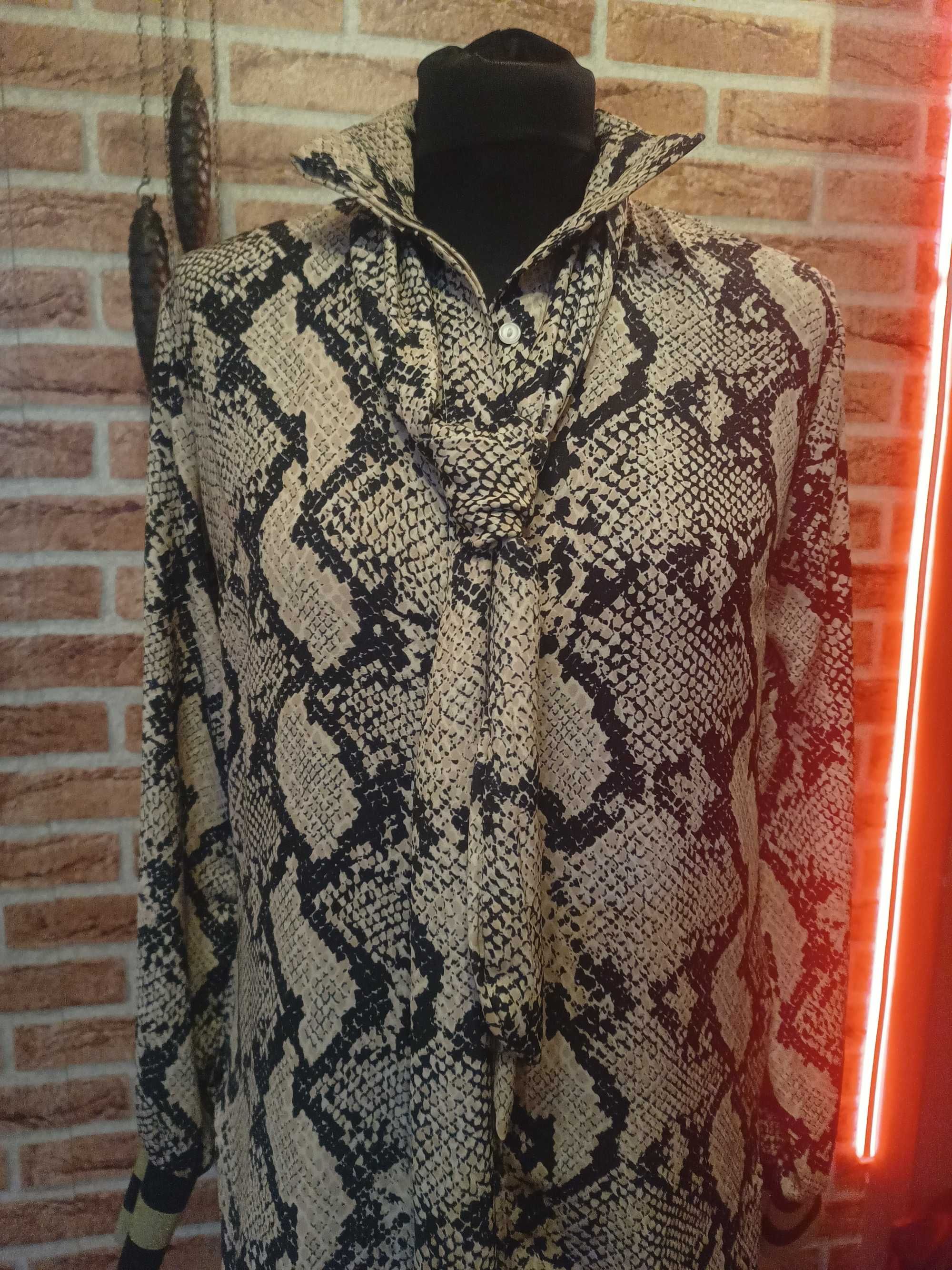 Elegancka koszula z krawatem