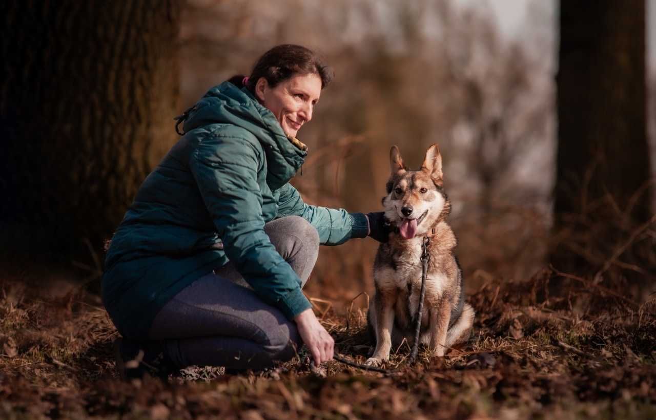 Nieśmiala Vienna szuka domu