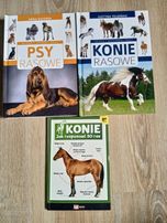 Rasy koni,psów, kotów, poradnik opiekuna zwierząt