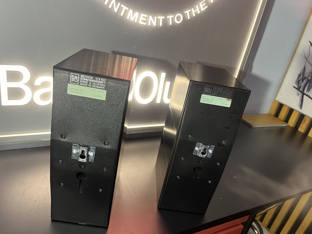 Bang Olufsen beovox cx 100